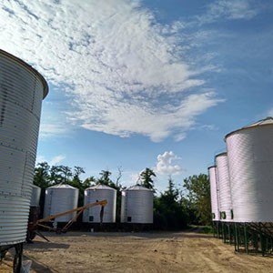 Que hacemos Agricultura